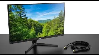 LG 24&rdquo; IPS Monitor Review | 75Hz FHD Display with FreeSync | Best Budget Office & Gaming Monitor?