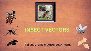 VECTOT INSECTS (रोग वाहक कीट)