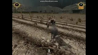 Bird Hunter 2003 Dove Hunt 1