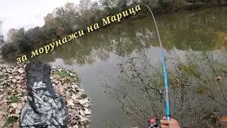 За морунажи на Марица край Димитровград