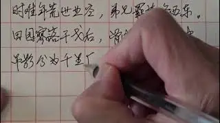 唐诗抄写，练习日常书写：205自河南经乱，关内阻饥