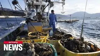 Japan turns to S. Korea, EU as new export markets for scallops