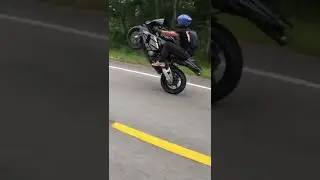 Cbr 600 wheelie #wheelie #bikelife #racing #motorcycle #motogp #honda #cbr #600 #1000 #mt07 #mt09