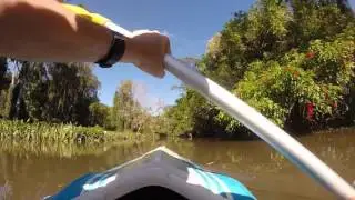 Kayaking Bulimba Creek Brisbane Australia