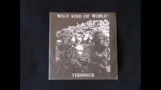 Terminus - What Kind Of World?