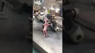 beautiful pink cat 🙀 dancing #funny #prettyfunny #cat #prettycat #comedy #cute