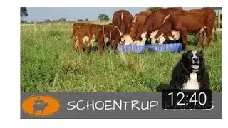 Tuesday channel shoutout #SchoentrupFarms