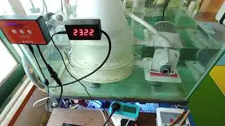 modifying Jebao pump to Needle Wheel Pump (and adjusting)