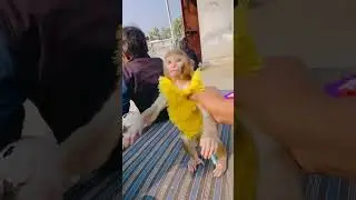 video को pura देखिए 😘