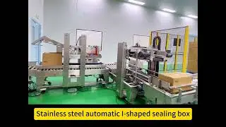 Customized stainless steel fully automatic packaging machinery for food processing plants