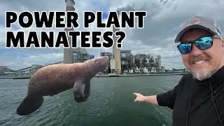 Inside Florida&rsquo;s Manatee Viewing Center (TECO Apollo Beach)