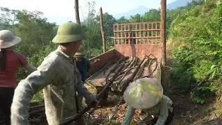 agricultural transport vehicle: rural girl robbed while cutting down giant tree