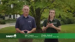 How to Improve Soil Health with Biochar