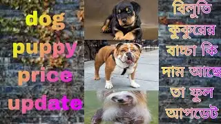 recent pets price update ! galif Street pet market dog || puppy price full |update||from Kolkata