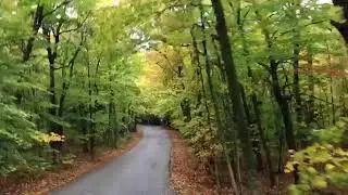 americas most beautyfull fall season video captured by an foriegn traveller jungle mode