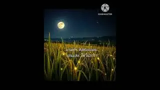 บ้านสวนริมคลอง 🌿🛶 | Thai Vintage Folk 🤍 | เพลงหวาน ฟังสบาย ใจช้าลง#รุ่งรุจีจีระสกุล