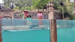 Elephant education show, Bali Safari, Bali