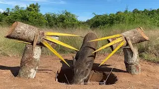 Build Unique Primitive Wild boar Trapping Tool Using Big Wood& Bamboo #shortvideo