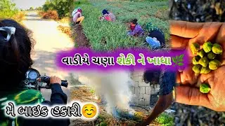 વાડીયે ચણા શેકીને ખાધા🌿😋#gujrativlog #villagelifestyle #khetivadiblog #villagelife #trending #blog