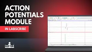 Action Potentials Module in LabScribe (CMAP)