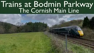 Trains at Bodmin Parkway with the Bodmin and Wenford railway 21/04/2025