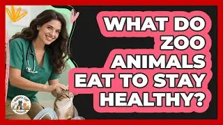 What Do Zoo Animals Eat To Stay Healthy? - Animal Care Jobs