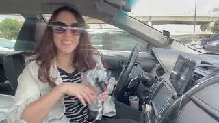 Excellent Sun Shade - Toyota Camry / Windshield Sun Shade Umbrella / Tested by Naomi
