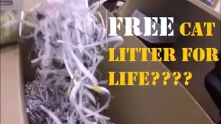Shredded paper Cat-Litter? SOLUTIONS TO RECURRING EXPENSES
