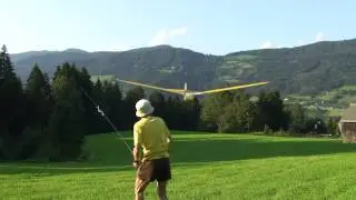 Austria-Meise und Kites in Trieben