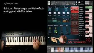 VG Trumpet Harmon mute PLUS sound library for NI Kontakt, trumpet articulations, VST brass