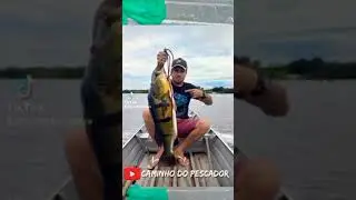 MEU RECORDE EM TUCUNAR&Eacute; A&Ccedil;U DE 9KL,