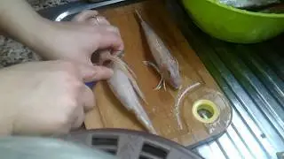 طريقة تنضيف🐟 سمك الروبيو 🐟