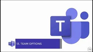 13 - Team options