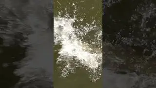 Boooom 💥🎣 Pike Explosion!