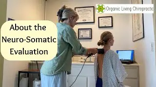Neuro-Somatic Evaluation: What the Heck Is It?