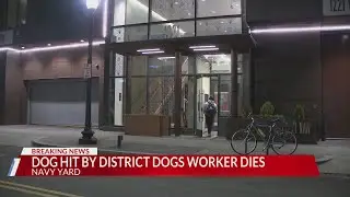 Dog hit by District Dogs employee dies