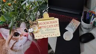 Blockchain With Cats Episode 2 🐾