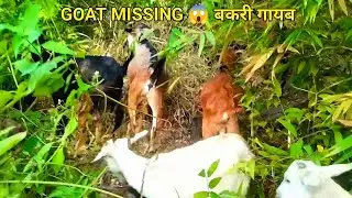 Lost Goat Tracking in Deep Indian Forest 😱 | Real Village Jungle Life