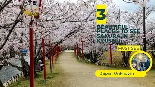 3 More beautiful places to see Sakura in Kyushu.