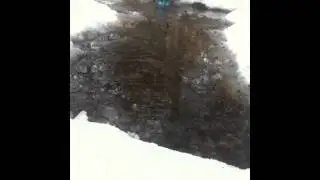 Brushless HPI Wheely King in Deep Water, Mud, and Snow