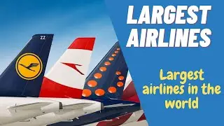 Top 20 Largest Airlines in the World by Fleet Size (2021) | Largest Airlines in the World | DotFacts
