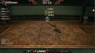 Rusty Hearts - Guild TagTeam PvP HD