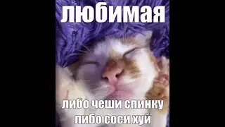 ;R99 ЛАVЕR плеuт urpу | A.K.A | true | a.k.a | 1sayan0 DESTROYER