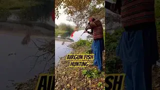 Fish Hunting Airgun | Gaint Snakehead Fish Hunting using Airgun #fishing #airgun #shortsfeed