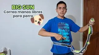 Big Sun Correa manos libres para perro 🐶 | Review