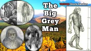 The Big Grey Man