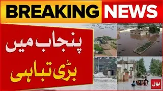 Flood In Punjab | Major Destruction | Rescue Operation | Punjab Govt Latest Update