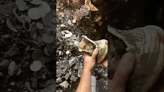 Archaeology gold treasure 😱   #metaldetector #archaeology #explore #goldhunt