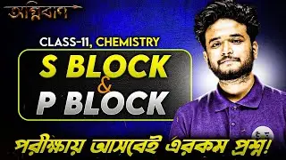 S Block & P Block Class 11 Chemistry | Most Important Question | WBCHSE Class 11