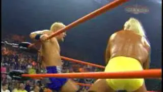 Hulk Hogan Turnertron